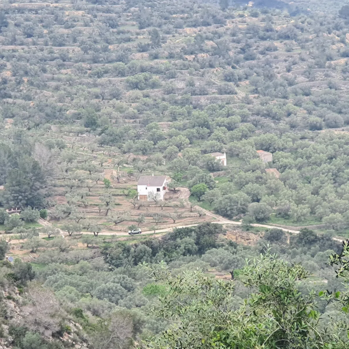 Finca en venta en Tortosa