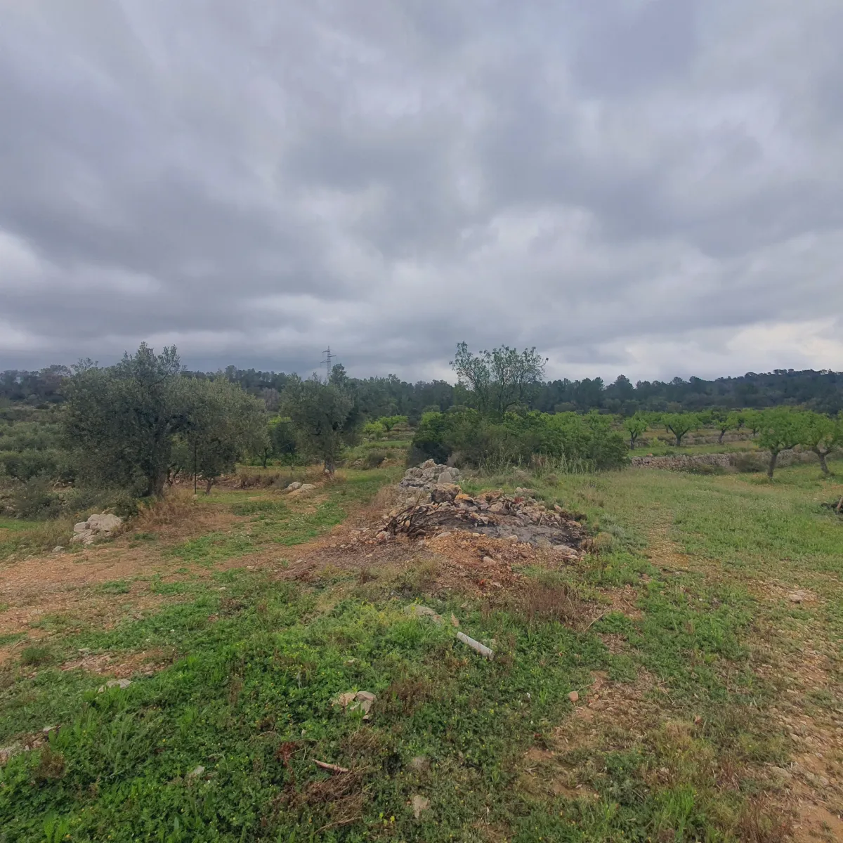 Suelo agrícola en venta en El Pinell de Brai