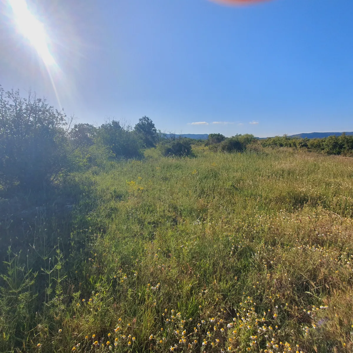 Suelo agrícola en venta en Gandesa